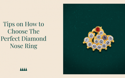 6 Tips on How to Choose The Perfect Diamond Nose Ring