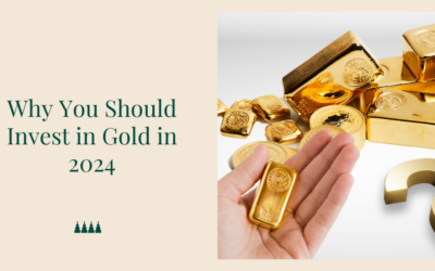 Why You Should Invest in Gold in 2024