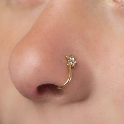 Hoop Nose Pins